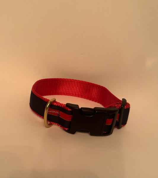 Pathfinder Dog Collar